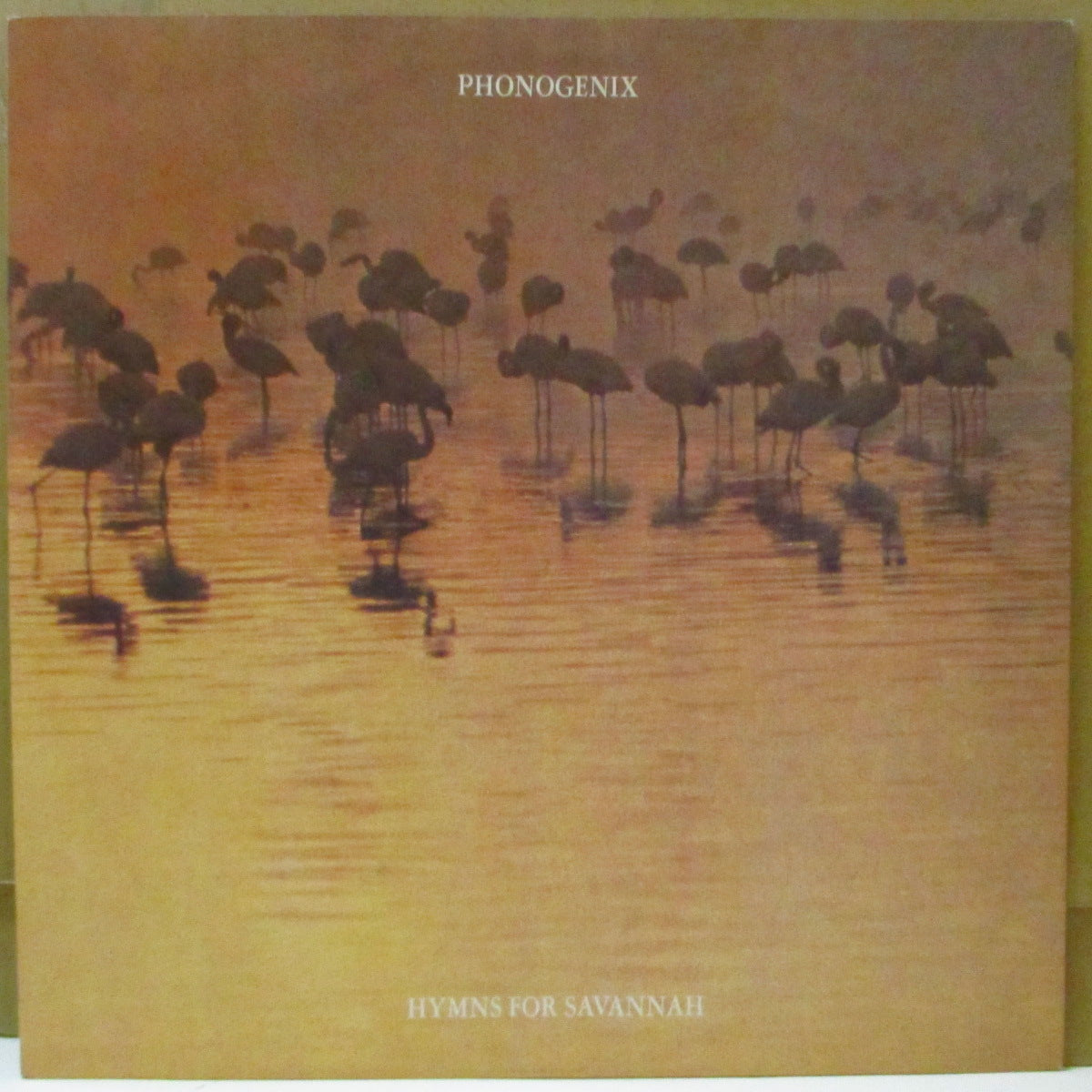 PHONOGENIX (フォノジェニックス) - Hymns For Savanna +3 (Japan オリジナル 12インチ)