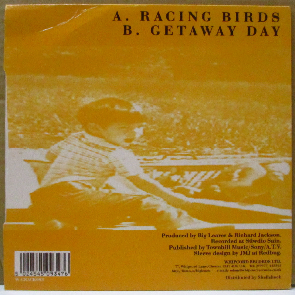 BIG LEAVES (ビッグ・リーヴス) - Racing Birds (UK オリジナル 7インチ+光沢固紙ジャケ)