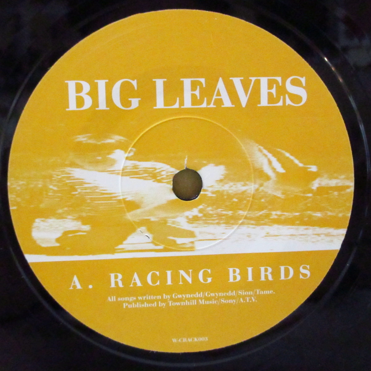 BIG LEAVES (ビッグ・リーヴス) - Racing Birds (UK オリジナル 7インチ+光沢固紙ジャケ)