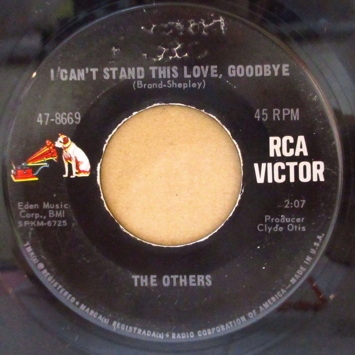 OTHERS, THE (ジ・アザーズ) - I Can't Stand This Love, Goodbye (US '65 初回オリジナル 7インチ)「ペブルスVol.8」収録ガレージ・パンク・クラシック!