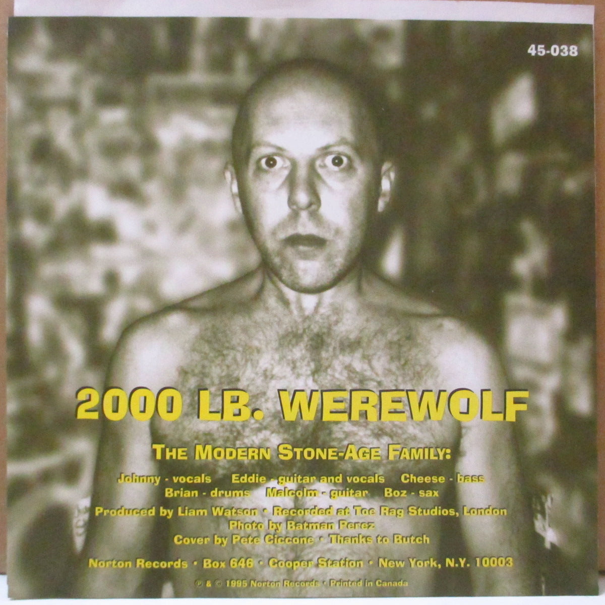 NEANDERTHALS, THE (ザ・ネアンデルタールズ) - Twinkle Toes (US オリジナル 7インチ+光沢ソフト紙ジャケ) '95年シングル