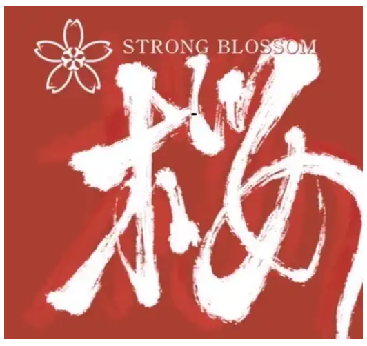 STRONG BLOSSOM (ストロングブロッサム ) - 桜 (Japan 限定プレス 2xCD/New)2025年10月01日発売!