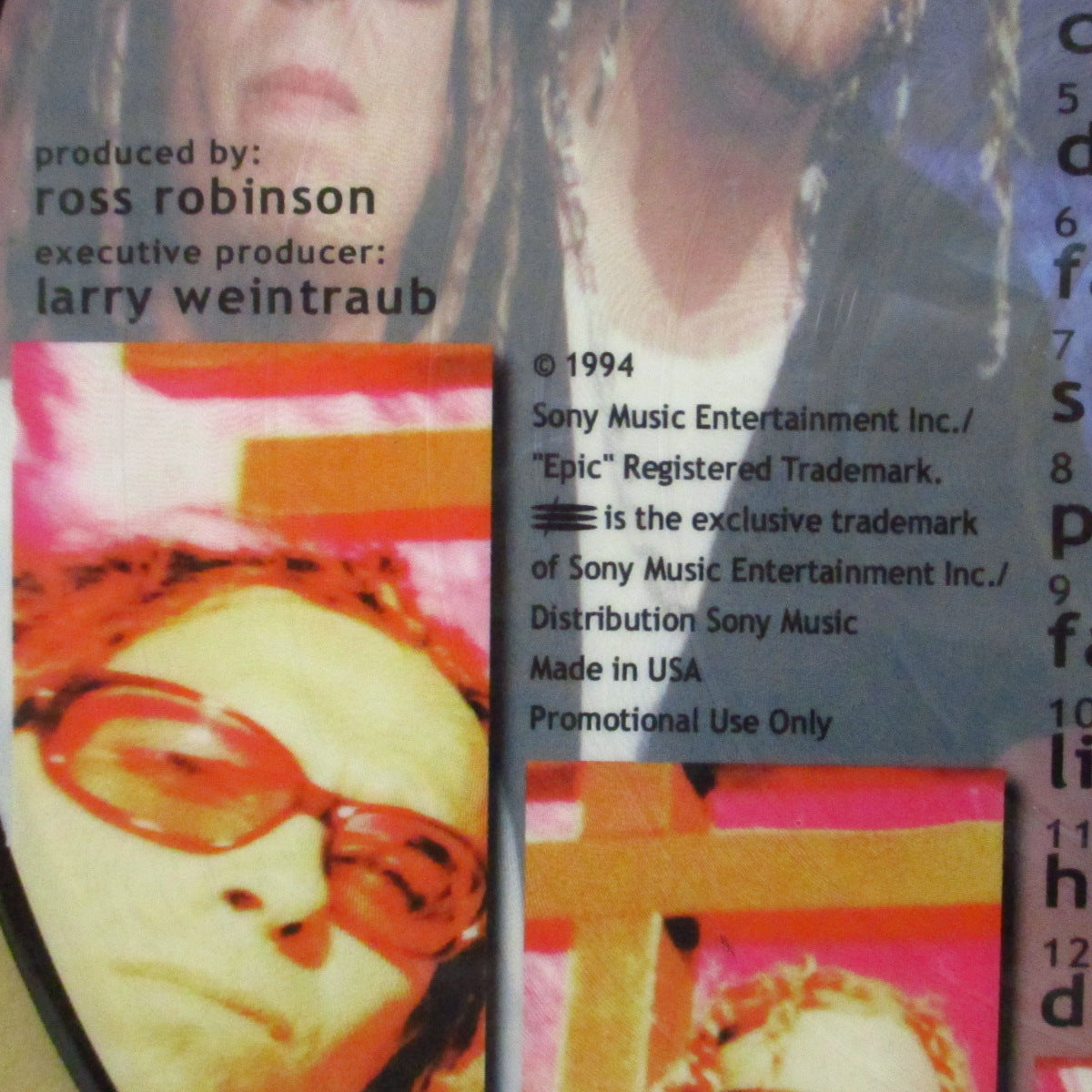 KORN (コーン) - S.T. <1st Album> (US 限定リプロ・ピクチャー LP+PVC) '94年1stアルバム