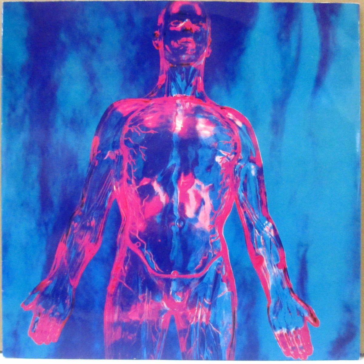 NIRVANA (ニルヴァーナ) - Sliver (US '94 再発「黒ラベ・黒盤」7インチ+バーコードなし光沢固紙ジャケ) '90年シングル