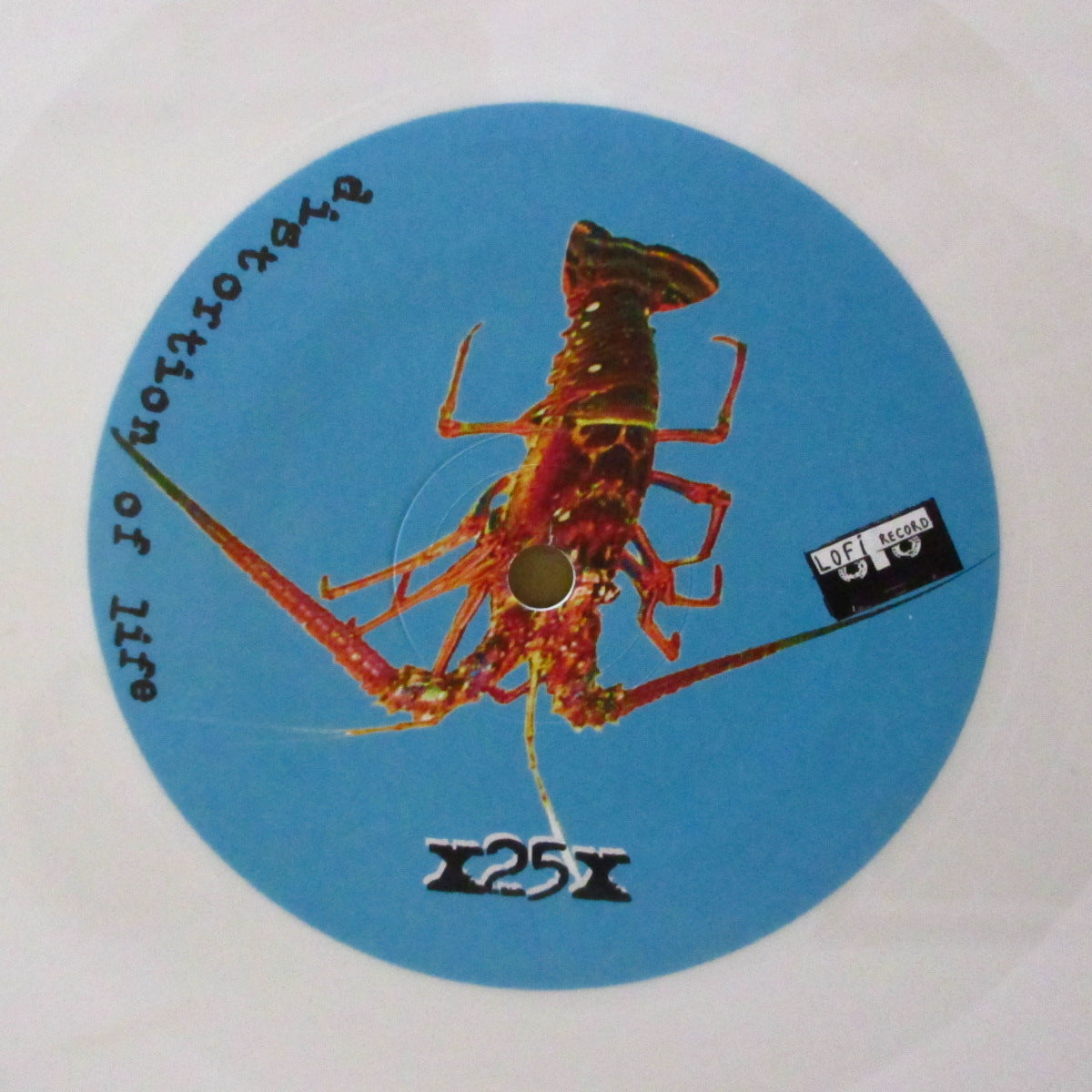 X25X - Distortion Of Life (France '10 オリジナル10曲入り「白盤」 12インチ)フランス・ノイズロックバンド「25」の変名作!