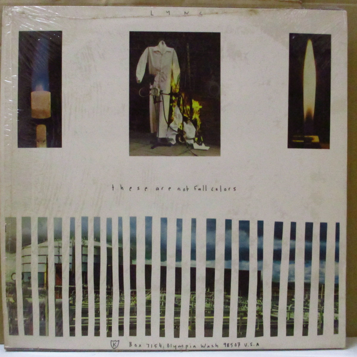 LYNC (リンク) - These Are Not Fall Colors (US オリジナル LP+インサート) '94年唯一のアルバム