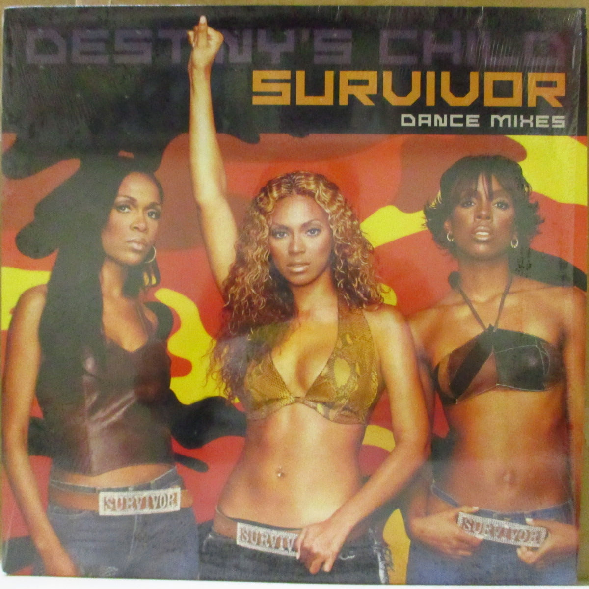 DESTINY'S CHILD (デスティニーズ・チャイルド) - Survivor - Dance Mixes (US '01 オリジナル5バージョン収録33回転 12インチ)