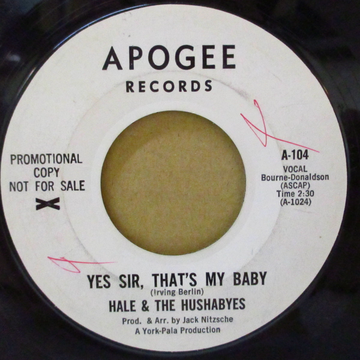 HALE & THE HUSHABYES (ヘイル&ザ・ハッシャバイズ = ブライアン・ウィルソン、ジャッキー・デシャノン, ダーレン・ラヴ他) - Yes Sir,That's My Baby (US 初回Apogee社プロモ白ラベ 7インチ)