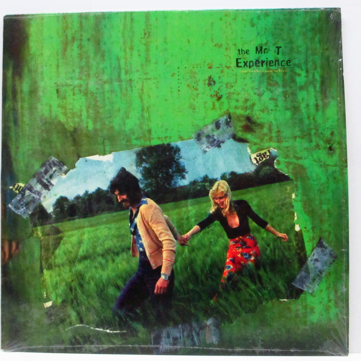 Mr. T EXPERIENCE, THE (ザ・ミスター・ティー・エクスペリエンス) - Our Bodies Our Selves (US オリジナル LP+インサート)