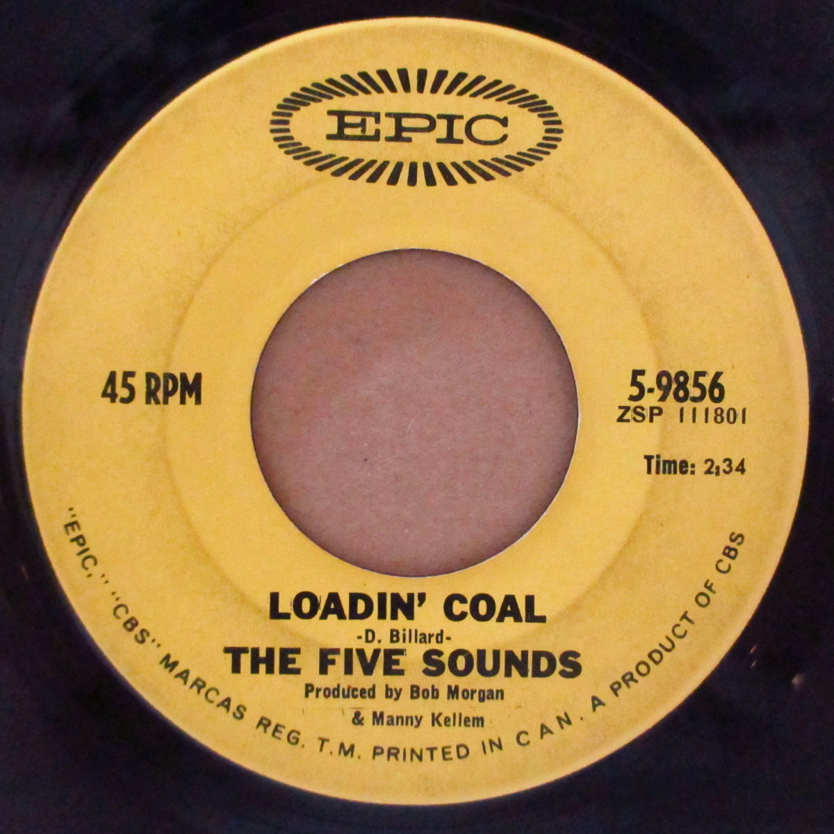 FIVE SOUNDS, THE (ザ・ファイブ・サウンズ) - Loadin' Coal / Baby, Please Don't Cry (US '65 オリジナル 7インチ)MOD-R&Bガレージ!