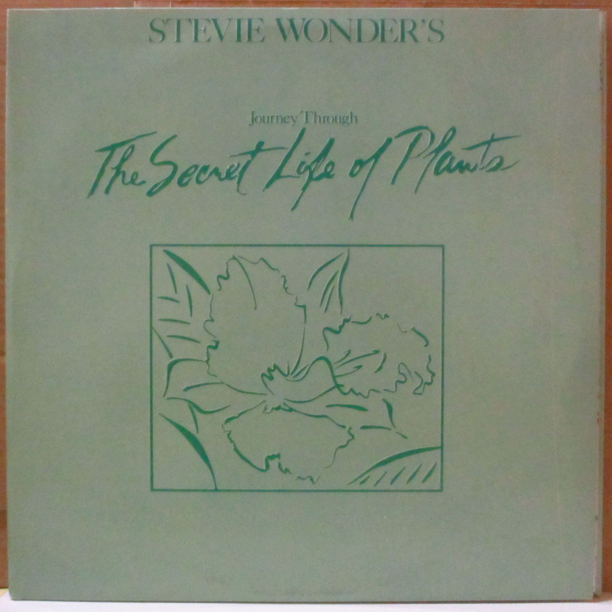 STEVIE WONDER (スティーヴィー・ワンダー) - Journey Through The Secret Life Of Plants (UK '79 オリジナル LPx2枚組/エンボス点字有り3面見開きジャケ)名作サントラ