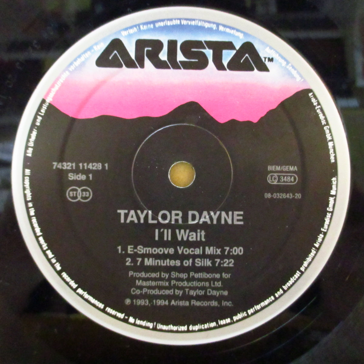 TAYLOR DAYNE (テイラー・デイン) - I'll Wait (Dutch '94 オリジナル 4バージョン収録 12インチ)