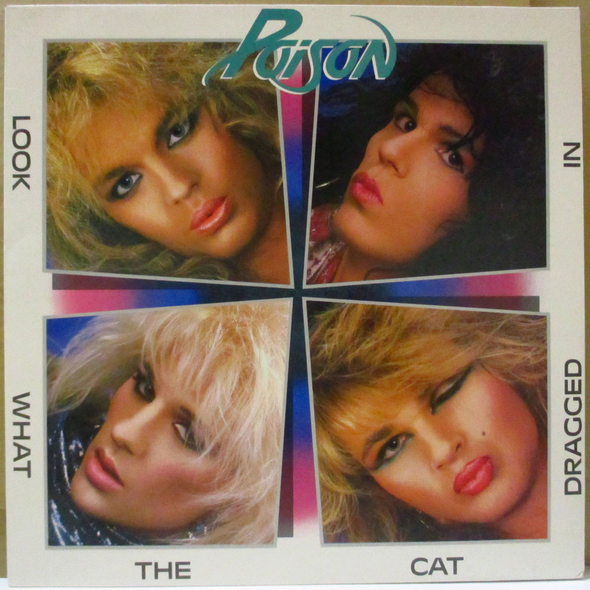 POISON (ポイズン) - Look What The Cat Drragged In (Dutch オリジナル LP/裏面に「Enigma」表記光沢ジャケ) '86年1stアルバム