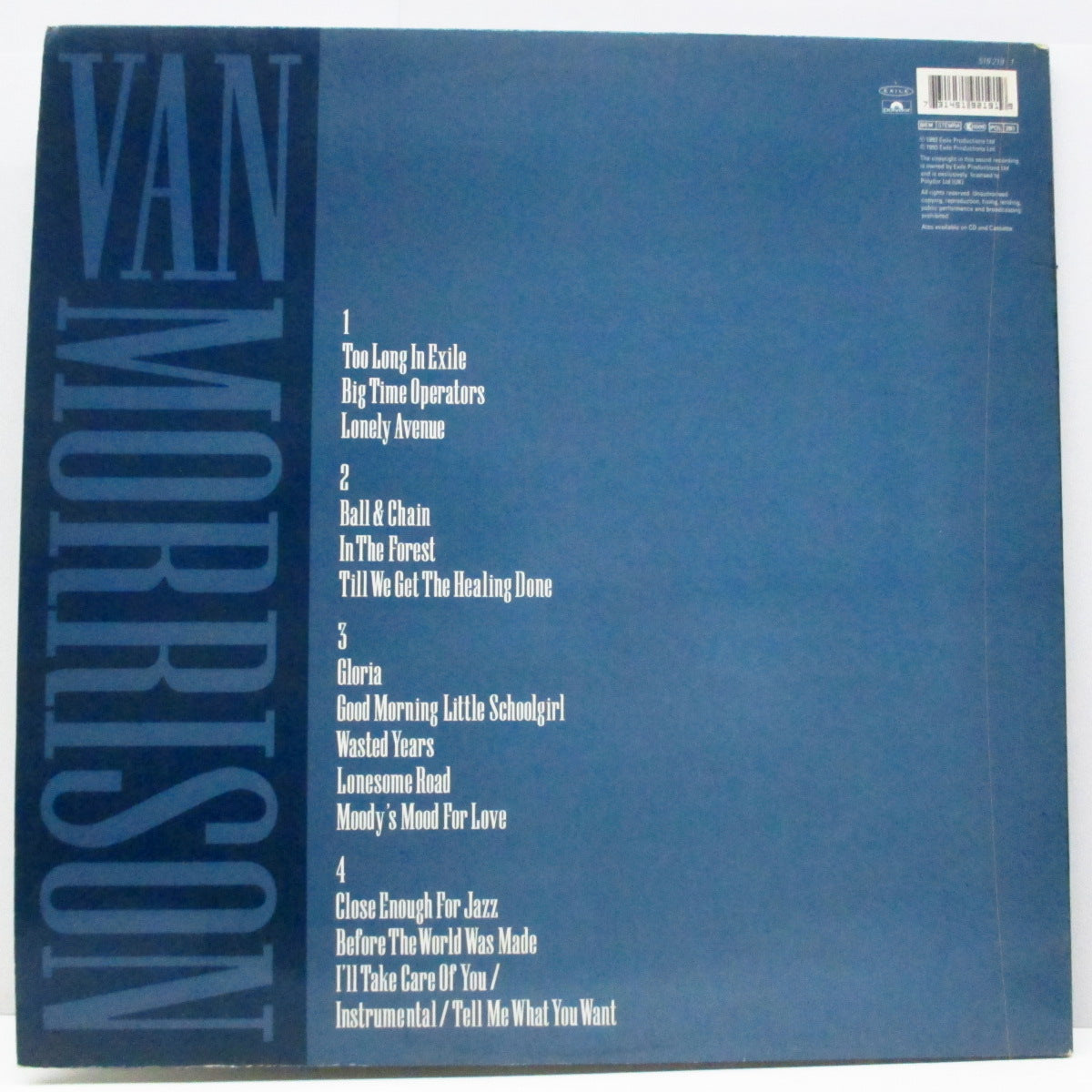 VAN MORRISON (ヴァン・モリソン) - Too Long Exile (EU オリジナル「青ラベ」2xLP/光沢見開きジャケ) '93年、22作目アルバム !