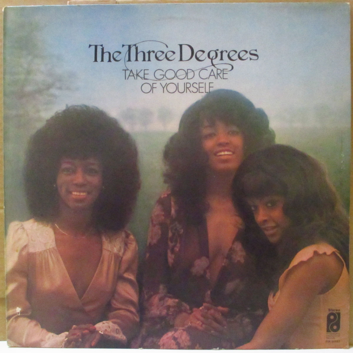 THREE DEGREES, THE (ザ・スリー・ディグリーズ) - Take Good Care Of Yourself (UK '75 オリジナル・ステレオ LP)サードアルバム、長年LP未再発化