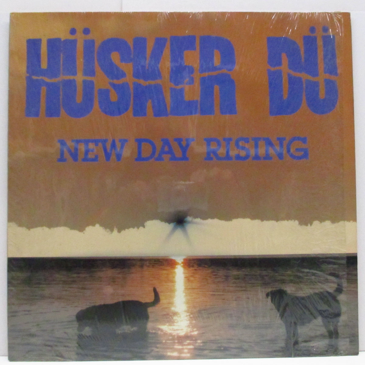 【レア4枚セット】 Husker Du ハスカー・ドゥ HUSKER DU (ハスカー・ドゥ) - New Day Rising (US '90 再発「黒盤」LP