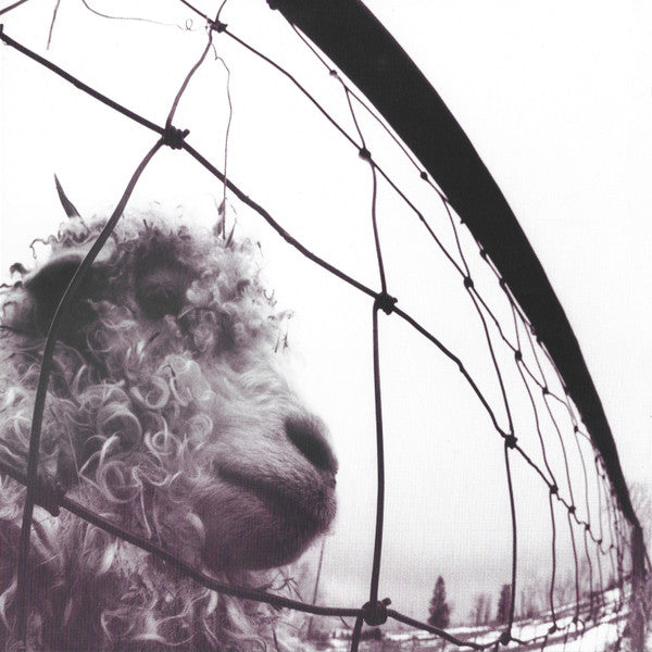 PEARL JAM (パール・ジャム) - Vs. (EU 限定復刻リマスター再発180グラム重量 LP/NEW) '93年2ndアルバム