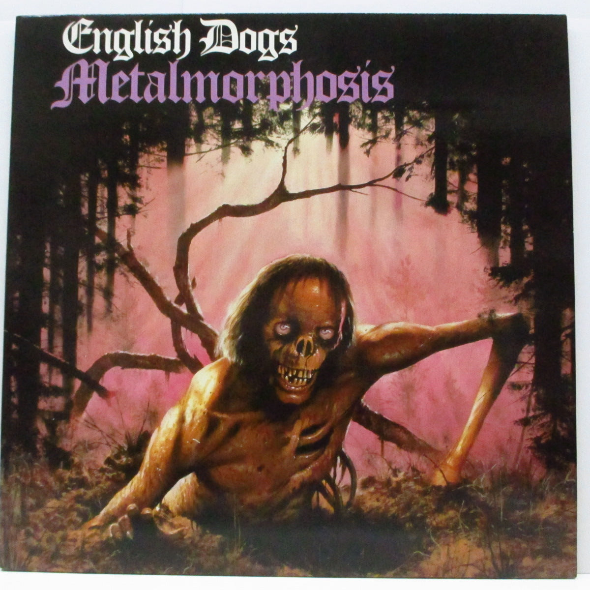 ENGLISH DOGS (イングリッシュ・ドッグス) - Metalmorphosis (UK オリジナル 12") 近年稀な美品 !