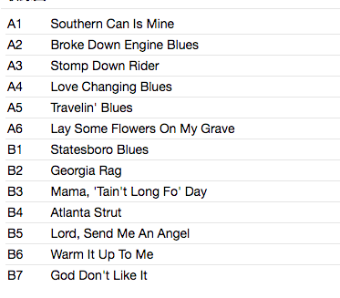 BLIND WILLIE MCTELL (ブラインド・ウィリー・マクテル ) - The Rough Guide To Blind Willie McTell (EU 限定プレス LP/New)