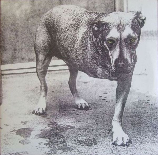 ALICE IN CHAINS (アリス・イン・チェインズ) - S.T. <3rd Album&gt