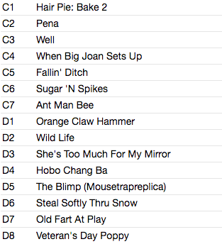 CAPTAIN BEEFHEART (キャプテン・ビーフハート) - Trout Mask Replica (US 限定復刻リマスター再発 2xLP+インナー/ New)