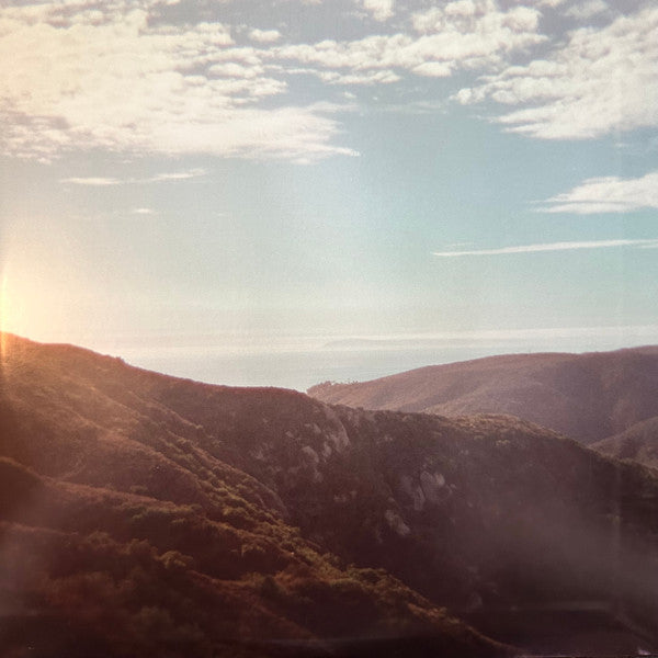 TY SEGALL (タイ・セガール) - Possession (US 限定リリース LP/NEW) '25年17thアルバム