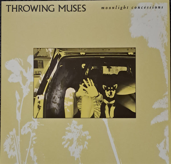 THROWING MUSES (スローイング・ミュージズ ) - Moonlight Concessions (Worldwide 限定リリース LP/NEW) '25年11thアルバム