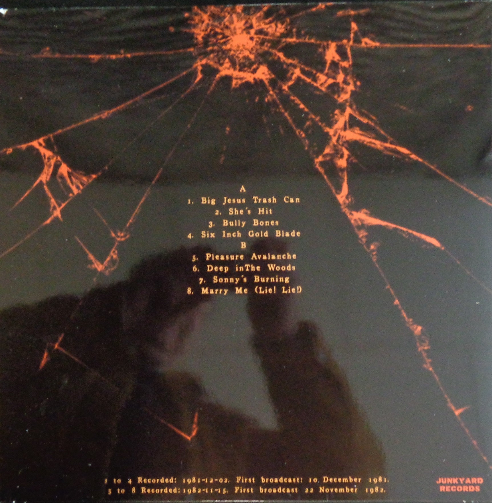 BIRTHDAY PARTY (バースデイ・パーティ) - Peel Sessions Vol.2 (EU 限定リリース LP/NEW)