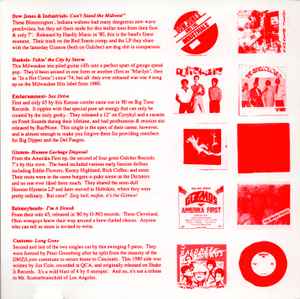 V.A. (初期「米国中西部」パンク・コンピ) - Bloodstains Across The Midwest (US 限定再発 CD / New)