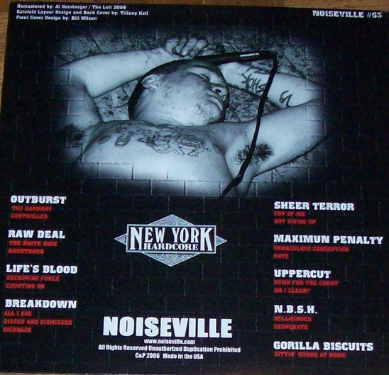 V.A. ('80年代後半ニューヨークハードコア・コンピ) - New York Hardcore: Where The Wild Things Are (US 400枚限定再発 140g「クリアヴァイナル」LP/ New)