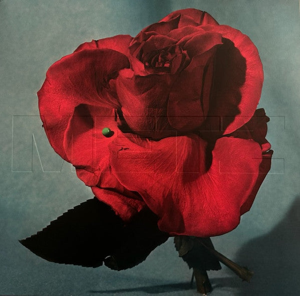 METZ (メッツ) - Up On Gravity Hill (UK-EU 限定イエローヴァイナル LP/NEW)