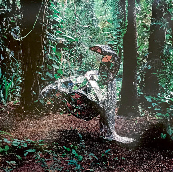 CSS (シーエスエス) - Donkey (UK-EU 正規限定再発 LP/NEW) '08年2ndアルバム