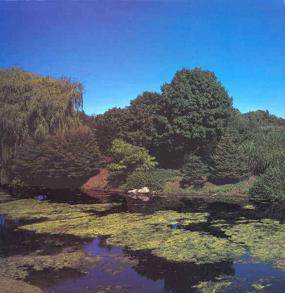 SHELLAC (シェラック) - Terraform (US 正規限定再発 LP/NEW) '98年2ndアルバム