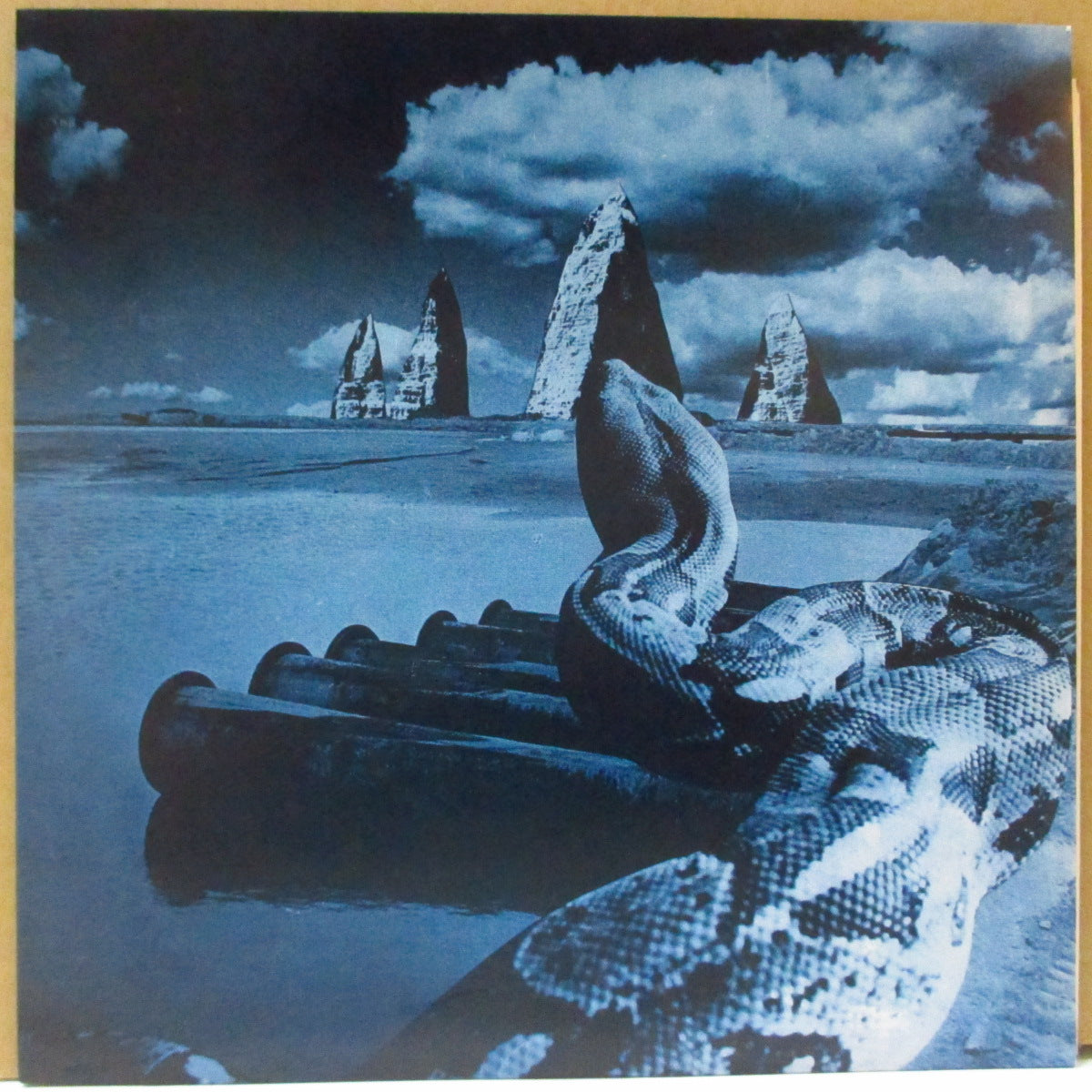 OF CABBAGES AND KINGS (オブ・キャベッジズ・アンド・キングス) - The Reign (US Limited Clear Blue Vinyl 7")