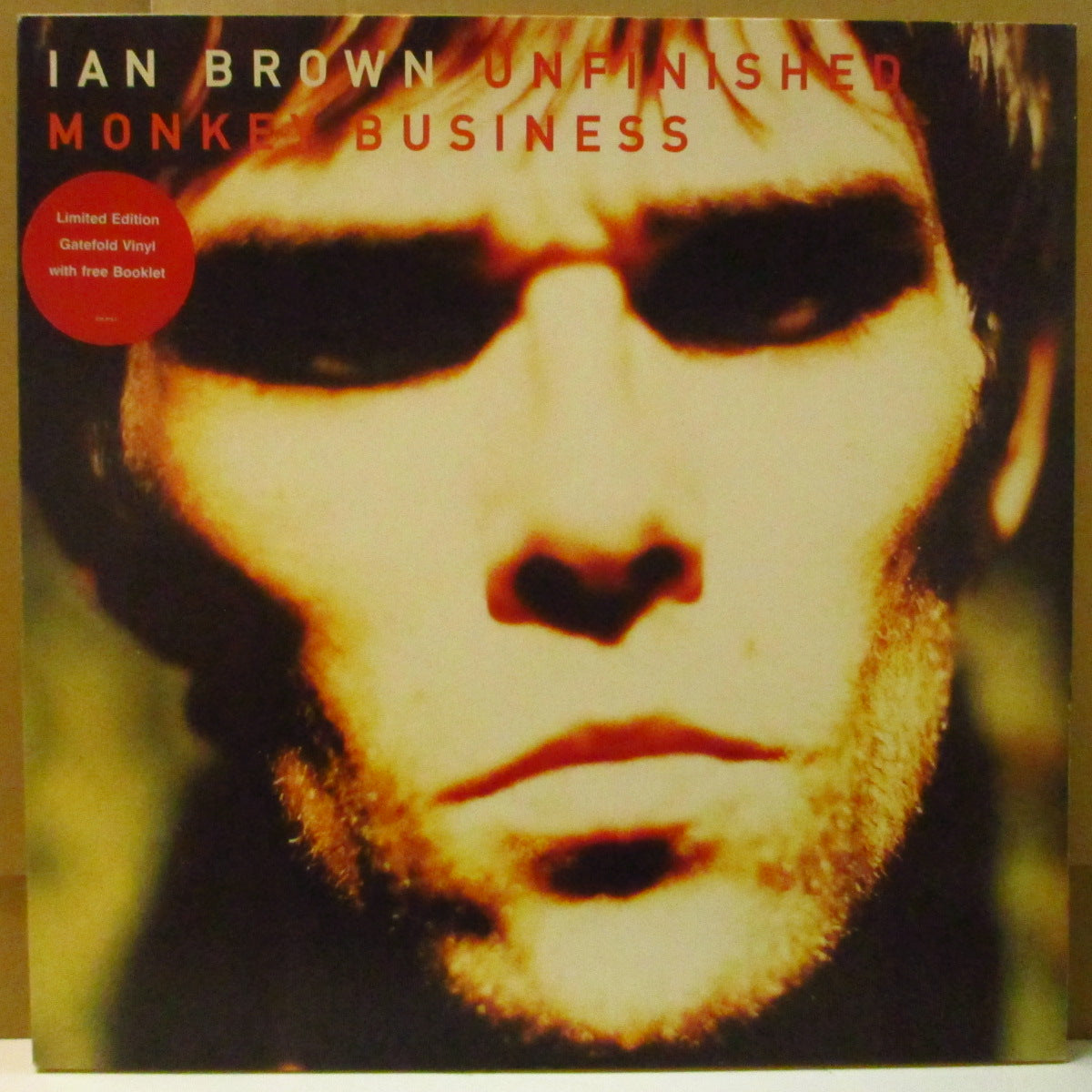 IanIAN BROWN レコード 2枚セット LP レア イアンブラウン - www 