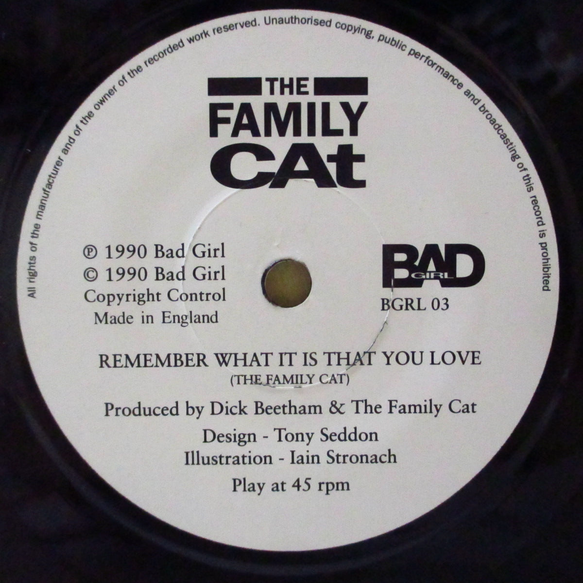 FAMILY CATS, THE (ザ・ファミリー・キャッツ) - Remember What It Is That You Love (UK Orig.7")