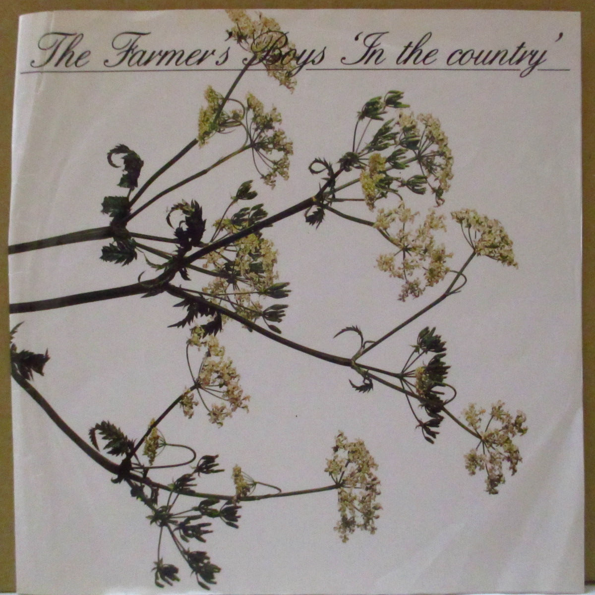 FARMER'S BOYS, THE (ザ・ファーマーズ・ボーイズ) - In The Country (UK 90's Ltd.Reissue White Lbl.7")
