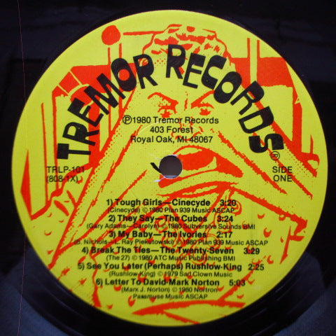 V.A. (デトロイト・ローカル Punk〜New Waveコンピ!)- Detroit Defaces The Eighties (US オリジナル LP)