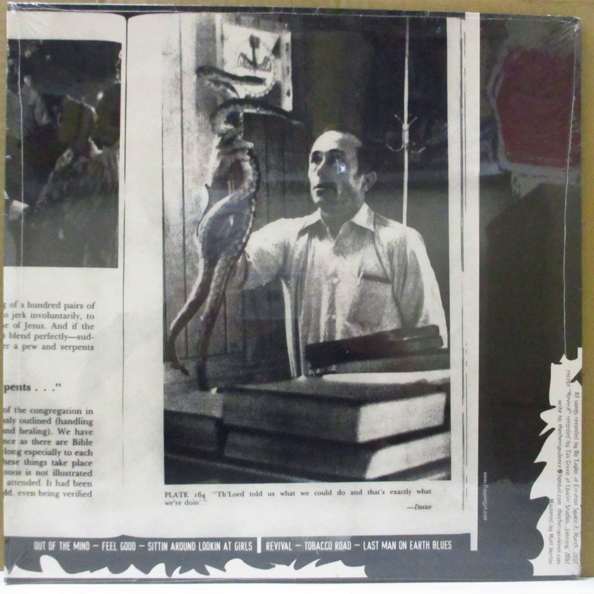 CHERRY VALANCE, THE (ザ・チェリー・ヴァレンス) - Revival (US オリジナル 12"/廃盤 New)