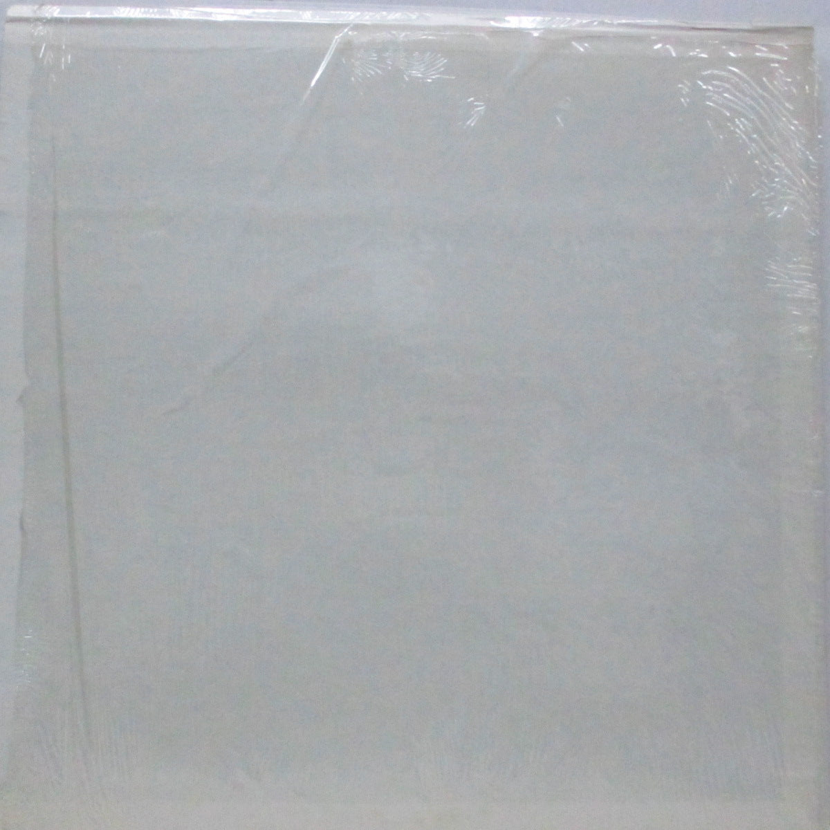 FLAMIN’ GROOVIES (フレイミン・グルーヴィーズ) - No Candy (US 限定プレス LP)