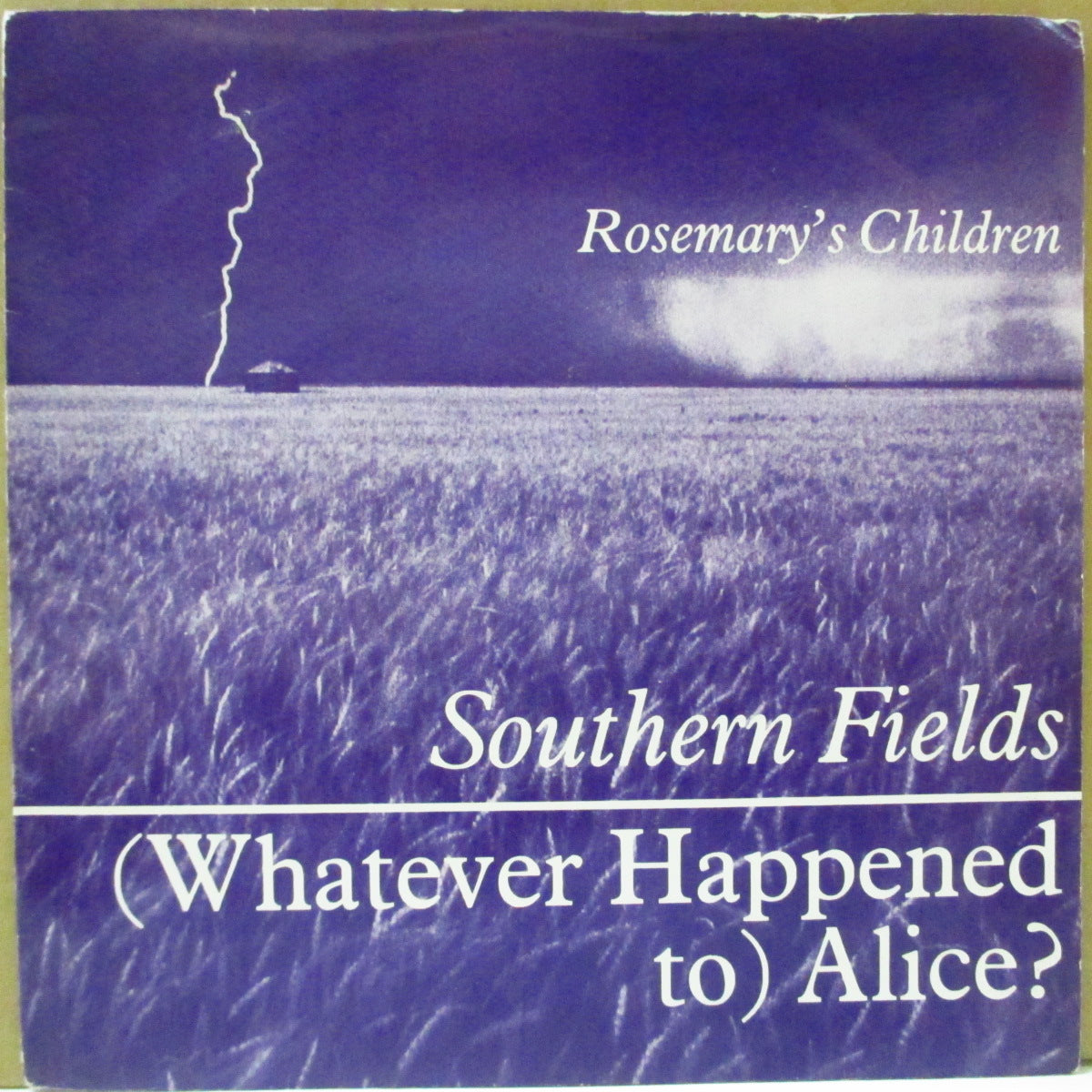ROSEMARY'S CHILDREN (ローズマリーズ・チルドレン) - Southern Fields (UK オリジナル 7インチ+光沢ソフト紙ジャケ)