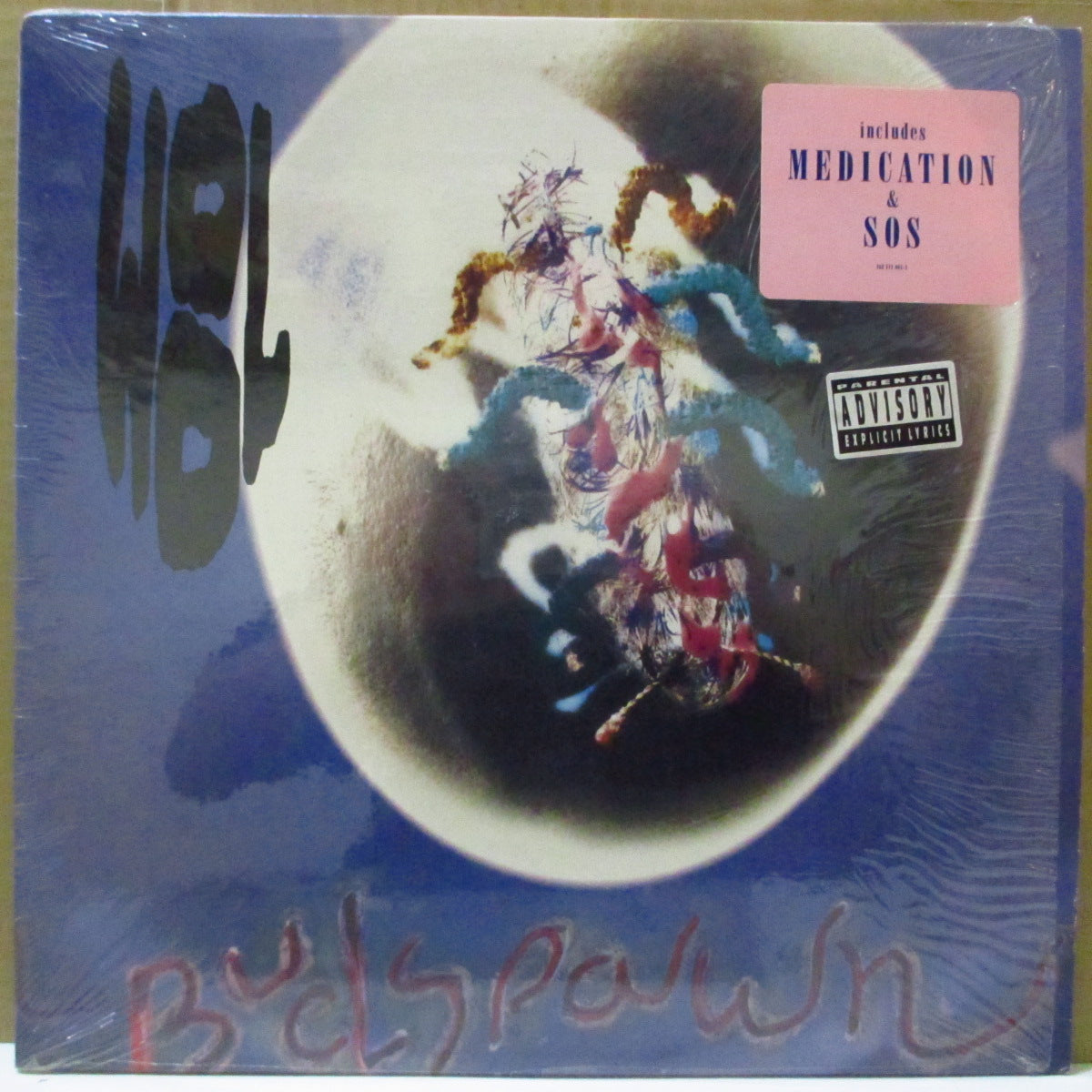 WOOL (ウール) - Budspawn (US 限定クリアブルーヴァイナル LP/レアステッカー付きジャケ)