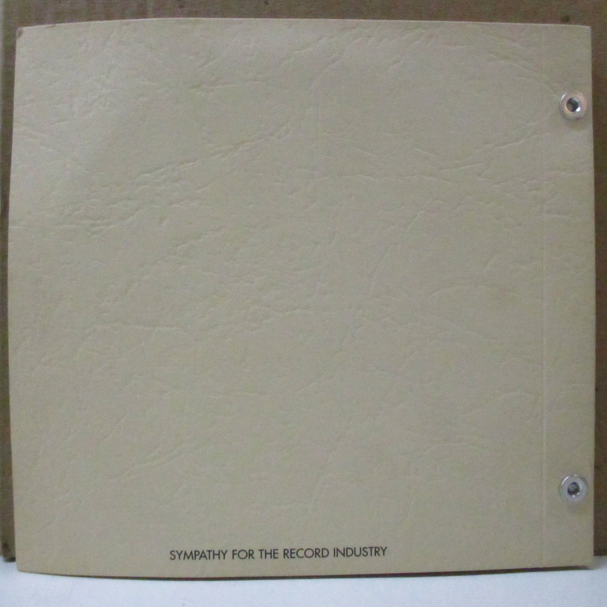 FLIES AMONG THE MAGGOTS (フライズ・アマング・ザ・マゴッツ) - The Little Record That Wighed It Could (US Orig.2xPicture 7"/Booklet PS)