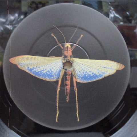 OCEAN COLOUR SCENE - A Hyperactive Workout For The Flying Squad (EU Orig.LP)