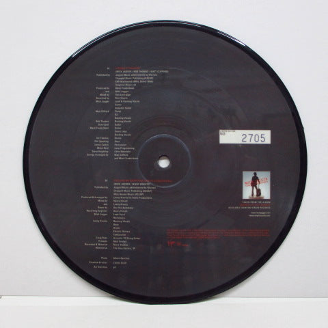 MICK JAGGER (ミック・ジャガー) - Visions Of Paradise (EU Orig.Picture Disc)