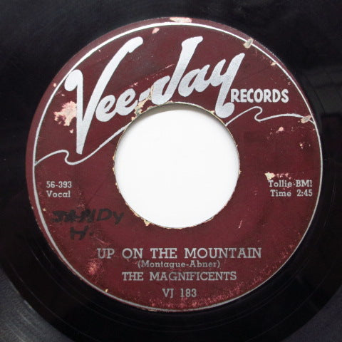 MAGNIFICENTS - Up On The Mountain (Orig)