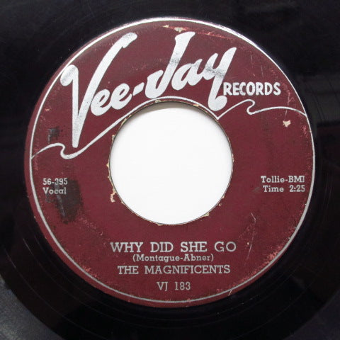 MAGNIFICENTS - Up On the Mountain (Orig)