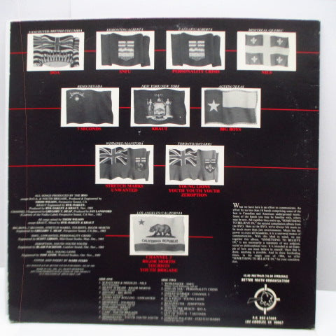 V.A. ('84 北米ハードコア・コンピ)- Something To Believe In (US オリジナル LP+ピンクジャケ/ポスター欠)