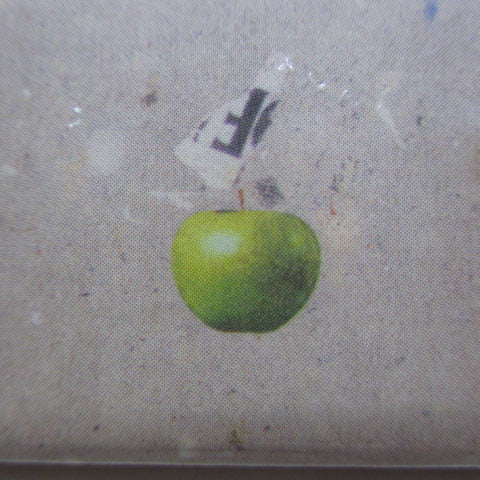 BEATLES (ビートルズ) - Anthology 1 (US Promo Sampler)