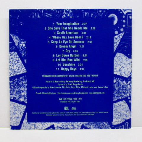 BRIAN WILSON (ブライアン・ウィルソン) - Imagination (US Advance Promo)